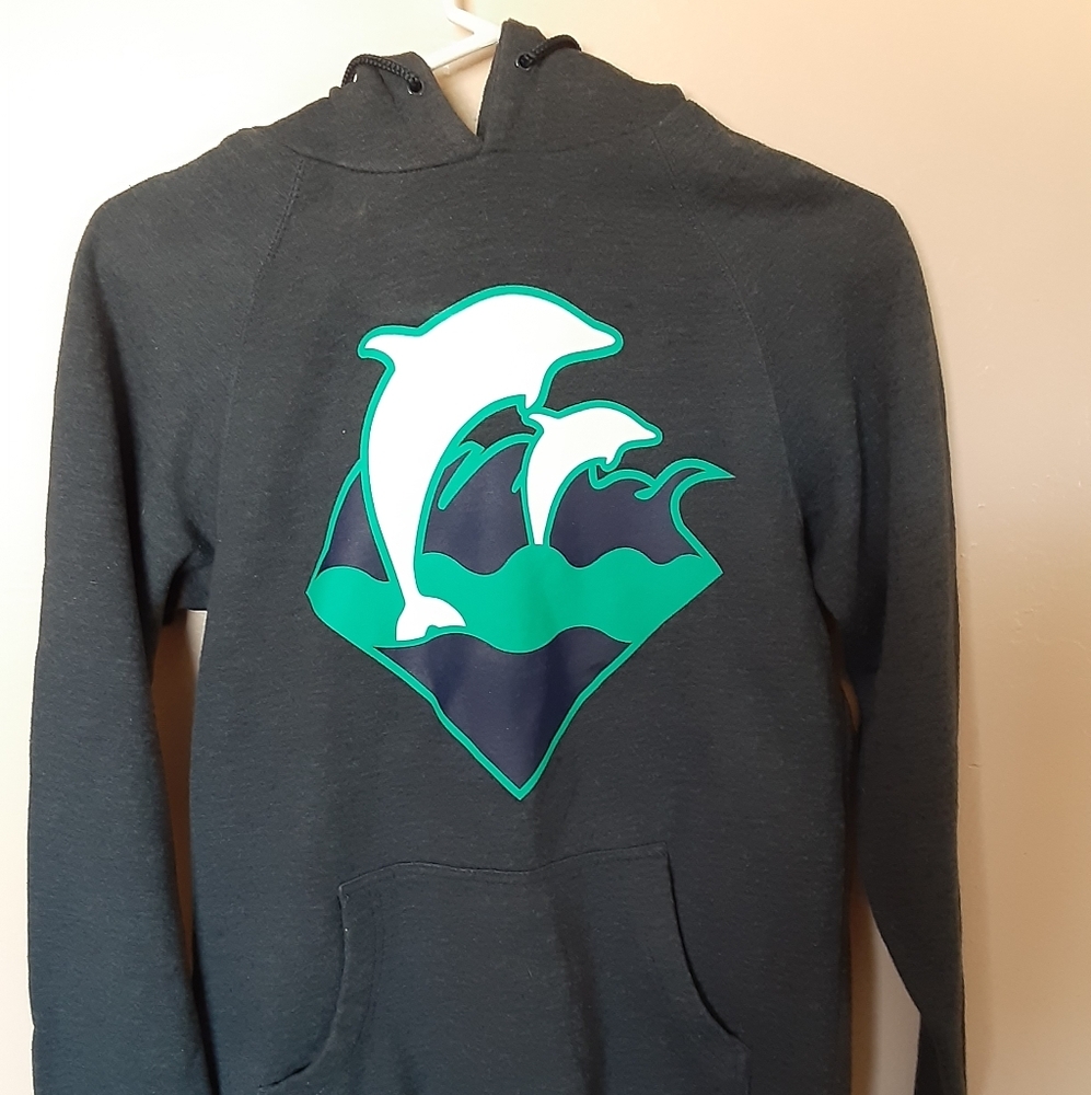 Pink Dolphin Holiday Waves Hoodie